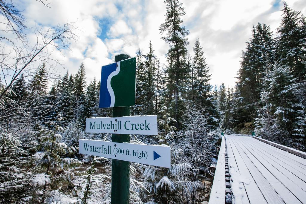 Mulvehill Creek Wilderness Inn And Wedding Chapel レベルストーク エクステリア 写真