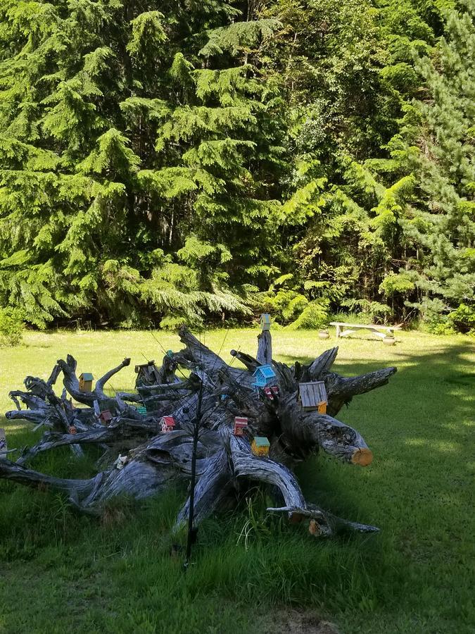 Mulvehill Creek Wilderness Inn And Wedding Chapel レベルストーク エクステリア 写真